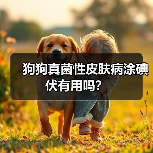 狗狗真菌性皮肤病涂碘伏有用吗？（图4）