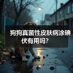 狗狗真菌性皮肤病涂碘伏有用吗？（图3）