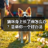 猫咪身上长了癣怎么办？告诉你一个好办法（图3）