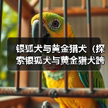 银狐犬与黄金猎犬（探索银狐犬与黄金猎犬跨种配对的优势和特点）（图2）
