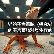 猫的子宫蓄脓（探究猫的子宫蓄脓对其生存的威胁，以及处理这一问题的关键方法）（图1）