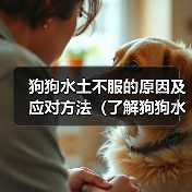 狗狗水土不服的原因及应对方法（了解狗狗水土不服的关键因素，为其提供适当的环境和护理）（图4）