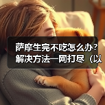 萨摩生完不吃怎么办?解决方法一网打尽(以萨摩生完不吃为主题的有效解决办法)(图4) 萨摩生完不吃怎么办?解决方法一网打尽(以萨摩生完不吃为主题的有效解决办法)(图4)