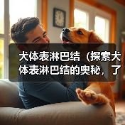 犬体表淋巴结(探索犬体表淋巴结的奥秘,了解其重要功能和常见疾病)(图2) 犬体表淋巴结(探索犬体表淋巴结的奥秘,了解其重要功能和常见疾病)(图2)
