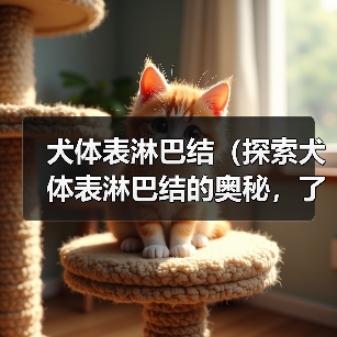 犬体表淋巴结(探索犬体表淋巴结的奥秘,了解其重要功能和常见疾病)(图3) 犬体表淋巴结(探索犬体表淋巴结的奥秘,了解其重要功能和常见疾病)(图3)