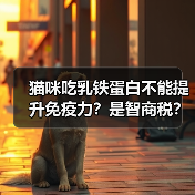 猫咪吃乳铁蛋白不能提升免疫力?是智商税?(图2) 猫咪吃乳铁蛋白不能提升免疫力?是智商税?(图2)