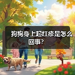 狗狗身上起红疹是怎么回事？（图3）