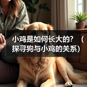 小鸡是如何长大的?(探寻狗与小鸡的关系)(图3) 小鸡是如何长大的?(探寻狗与小鸡的关系)(图3)