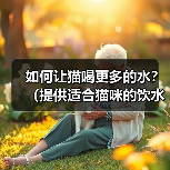 如何让猫喝更多的水?(提供适合猫咪的饮水环境和方式)(图4) 如何让猫喝更多的水?(提供适合猫咪的饮水环境和方式)(图4)