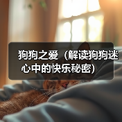 狗狗之爱（解读狗狗迷心中的快乐秘密）（图4）