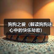 狗狗之爱（解读狗狗迷心中的快乐秘密）（图2）