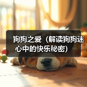狗狗之爱（解读狗狗迷心中的快乐秘密）（图3）