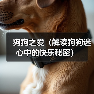 狗狗之爱（解读狗狗迷心中的快乐秘密）（图1）
