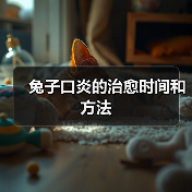 兔子口炎的治愈时间和方法(图1) 兔子口炎的治愈时间和方法(图1)