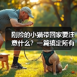 刚捡的小猫带回家要注意什么？一篇搞定所有难题（图4）