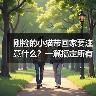 刚捡的小猫带回家要注意什么？一篇搞定所有难题（图1）