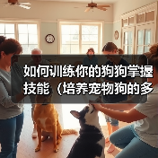 如何训练你的狗狗掌握技能(培养宠物狗的多种技能,提升亲密度与智力)(图1) 如何训练你的狗狗掌握技能(培养宠物狗的多种技能,提升亲密度与智力)(图1)