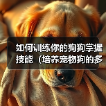 如何训练你的狗狗掌握技能(培养宠物狗的多种技能,提升亲密度与智力)(图3) 如何训练你的狗狗掌握技能(培养宠物狗的多种技能,提升亲密度与智力)(图3)