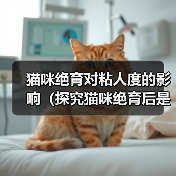 猫咪绝育对粘人度的影响（探究猫咪绝育后是否会更加亲人的现象及其原因）（图3）