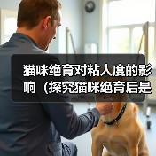 猫咪绝育对粘人度的影响（探究猫咪绝育后是否会更加亲人的现象及其原因）（图2）