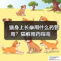 猫身上长癣用什么药管用？猫癣用药指南（图2）
