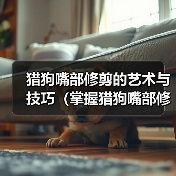 猎狗嘴部修剪的艺术与技巧（掌握猎狗嘴部修剪的关键要点，打造出完美的外观和功能性）（图2）