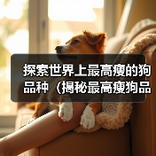 探索世界上最高瘦的狗品种（揭秘最高瘦狗品种的外貌和特征）（图1）