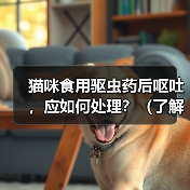 猫咪食用驱虫药后呕吐，应如何处理？（了解猫咪食用驱虫药后呕吐的原因和应对方法）（图4）