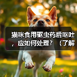 猫咪食用驱虫药后呕吐，应如何处理？（了解猫咪食用驱虫药后呕吐的原因和应对方法）（图3）