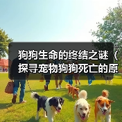 狗狗生命的终结之谜（探寻宠物狗狗死亡的原因与方式）（图3）