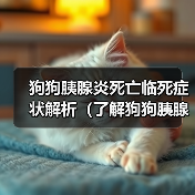 狗狗胰腺炎死亡临死症状解析（了解狗狗胰腺炎临死前的表现与处理方法）（图4）