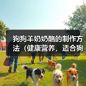 狗狗羊奶奶酪的制作方法（健康营养，适合狗狗的美味奶制品）（图3）