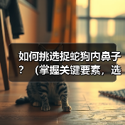 如何挑选捉蛇狗内鼻子？（掌握关键要素，选择合适的捉蛇狗）（图3）