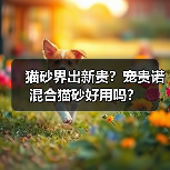猫砂界出新贵？宠贵诺混合猫砂好用吗？（图3）