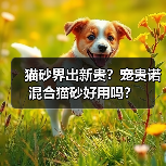 猫砂界出新贵？宠贵诺混合猫砂好用吗？（图2）