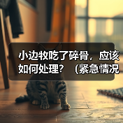 小边牧吃了碎骨，应该如何处理？（紧急情况下的急救措施及后续处理方法）（图2）