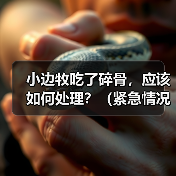 小边牧吃了碎骨，应该如何处理？（紧急情况下的急救措施及后续处理方法）（图1）