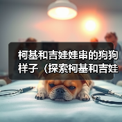 柯基和吉娃娃串的狗狗样子(探索柯基和吉娃娃串的独特魅力)(图1) 柯基和吉娃娃串的狗狗样子(探索柯基和吉娃娃串的独特魅力)(图1)
