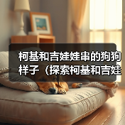 柯基和吉娃娃串的狗狗样子(探索柯基和吉娃娃串的独特魅力)(图4) 柯基和吉娃娃串的狗狗样子(探索柯基和吉娃娃串的独特魅力)(图4)