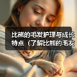 比熊的毛发护理与成长特点（了解比熊的毛发护理时间和成熟阶段）（图3）