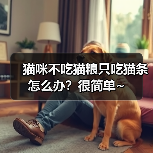 猫咪不吃猫粮只吃猫条怎么办？很简单~（图4）