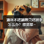 猫咪不吃猫粮只吃猫条怎么办？很简单~（图3）
