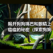 揭开狗狗嘴巴和眼睛上痘痘的秘密(探索狗狗面部痘痘的成因及治疗方法)(图1) 揭开狗狗嘴巴和眼睛上痘痘的秘密(探索狗狗面部痘痘的成因及治疗方法)(图1)