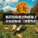 揭开狗狗嘴巴和眼睛上痘痘的秘密(探索狗狗面部痘痘的成因及治疗方法)(图3) 揭开狗狗嘴巴和眼睛上痘痘的秘密(探索狗狗面部痘痘的成因及治疗方法)(图3)