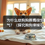 为什么给狗狗擦嘴很生气？（探究狗狗擦嘴引起愤怒的原因及解决方法）（图1）