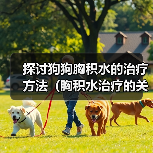 探讨狗狗胸积水的治疗方法（胸积水治疗的关键在于早期发现和综合治疗）（图3）