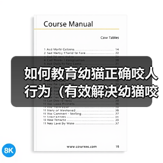 如何教育幼猫正确咬人行为(有效解决幼猫咬人问题的方法)(图2) 如何教育幼猫正确咬人行为(有效解决幼猫咬人问题的方法)(图2)