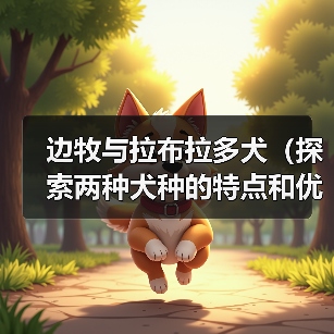 边牧与拉布拉多犬（探索两种犬种的特点和优势，助您做出明智的选择）（图2）