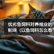 优劣鱼饲料对养殖业的影响(以鱼饲料怎么看好的差)(图4) 优劣鱼饲料对养殖业的影响(以鱼饲料怎么看好的差)(图4)