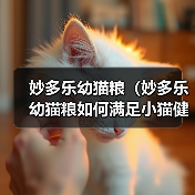 妙多乐幼猫粮（妙多乐幼猫粮如何满足小猫健康成长的需求）（图3）